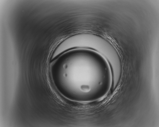 X0000115270049200911061316