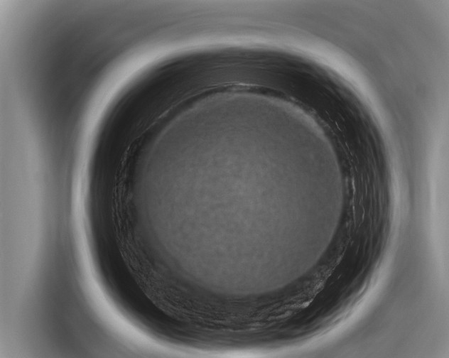 X0000115270050200911061316