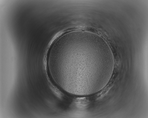 X0000115270054200911061316