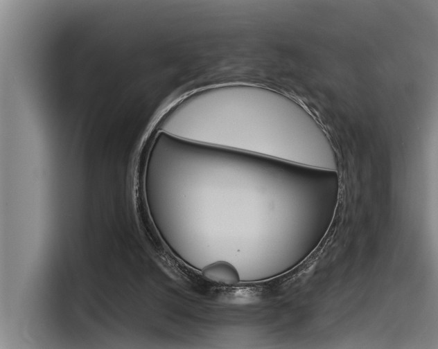 X0000115270056200911061316