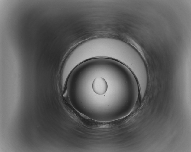 X0000115270059200911061316