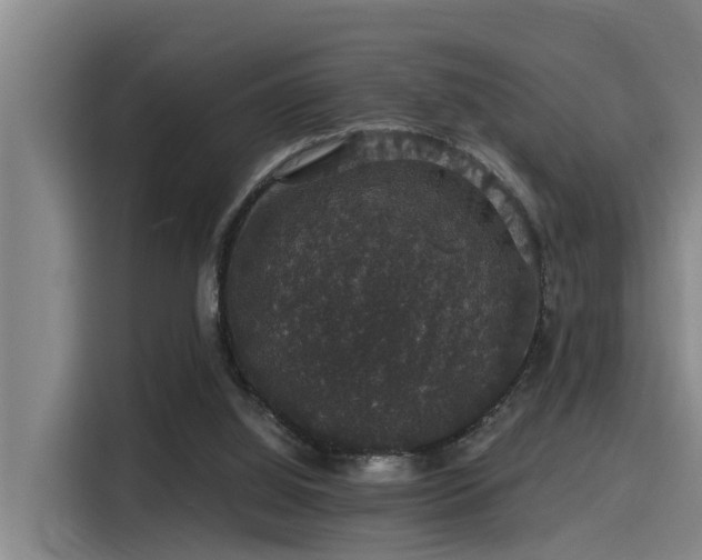 X0000115270060200911061316
