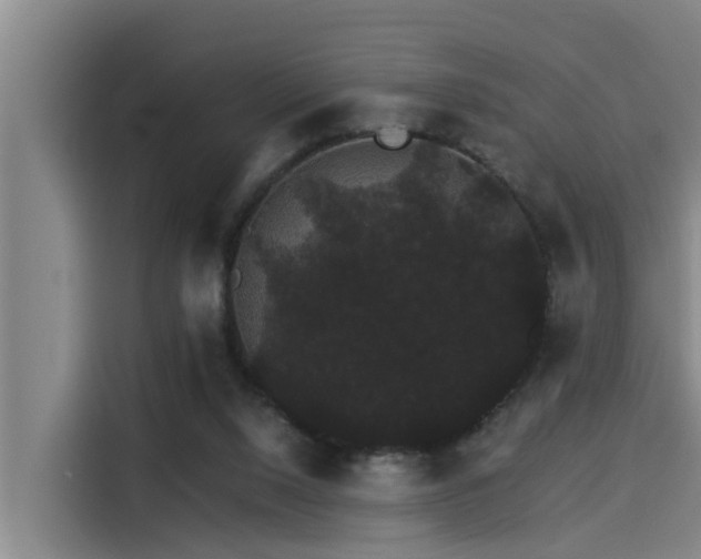 X0000115270064200911061316