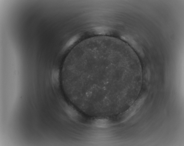 X0000115270066200911061316