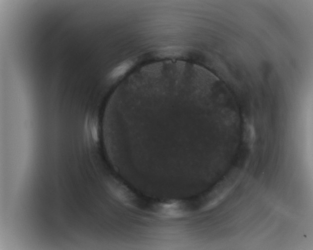 X0000115270068200911061316