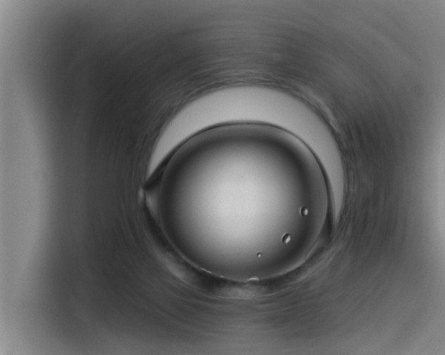 X0000115270069200911061316