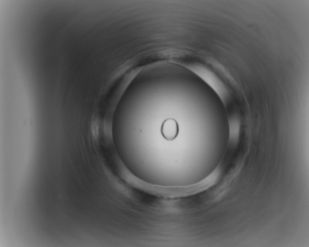 X0000115270071200911061316