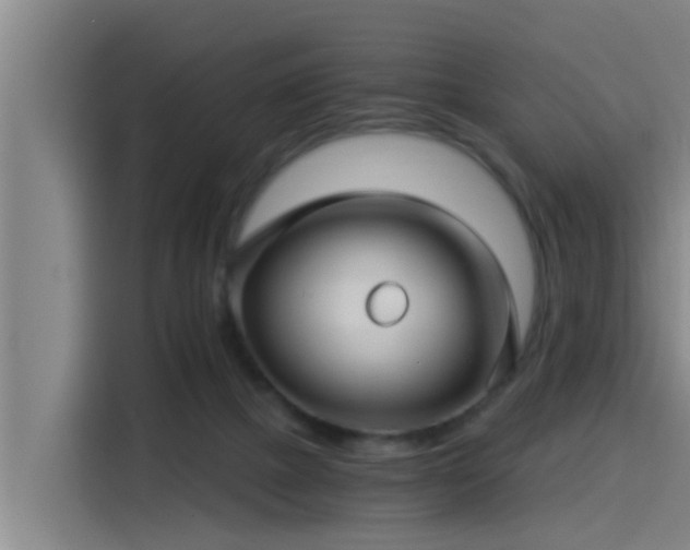 X0000115270073200911061316