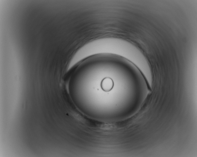 X0000115270077200911061316