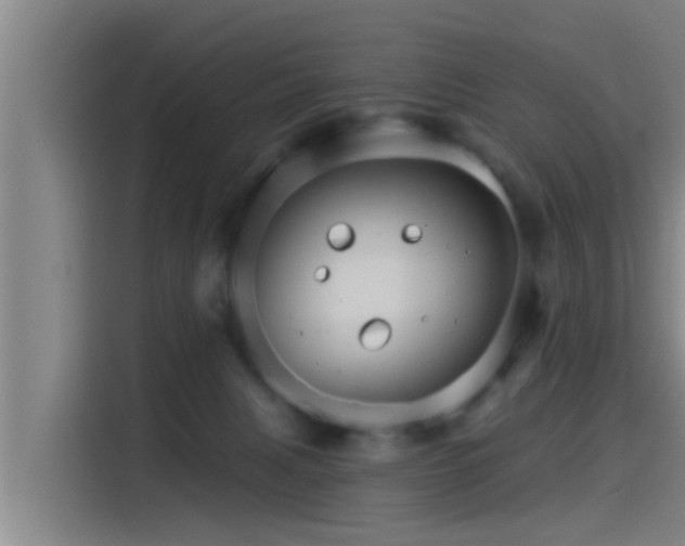 X0000115270079200911061316