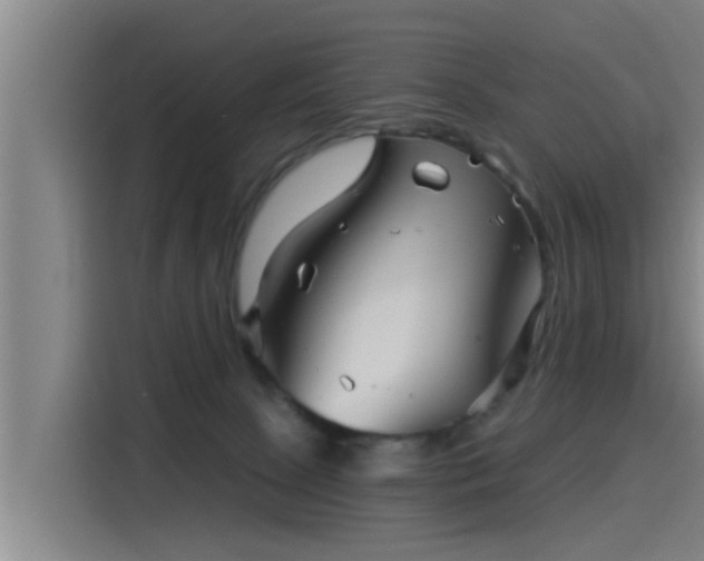 X0000115270081200911061316
