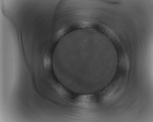 X0000115270084200911061316