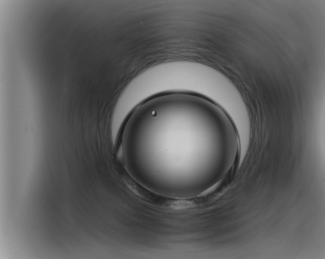 X0000115270087200911061316
