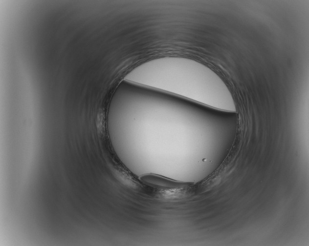 X0000115270092200911061316