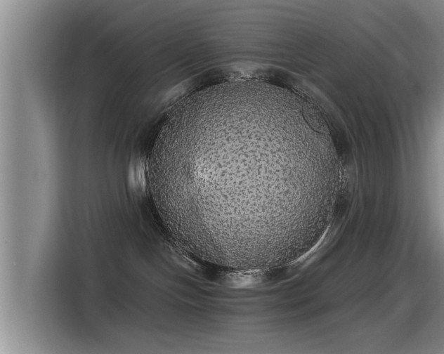 X0000115270094200911061316