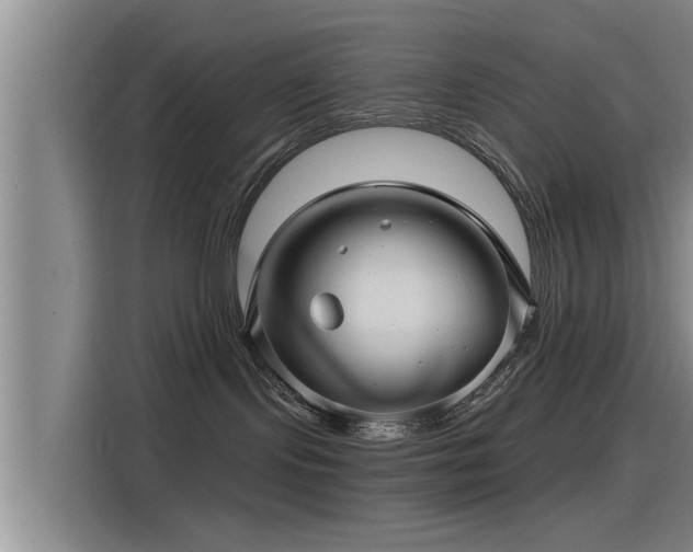 X0000115270095200911061316