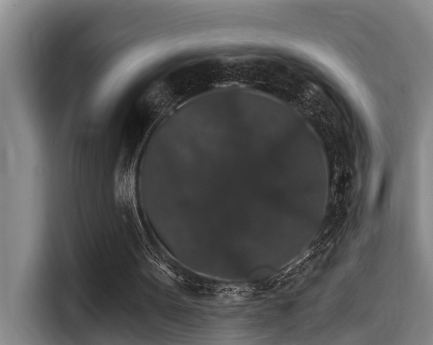 X0000115270099200911061316