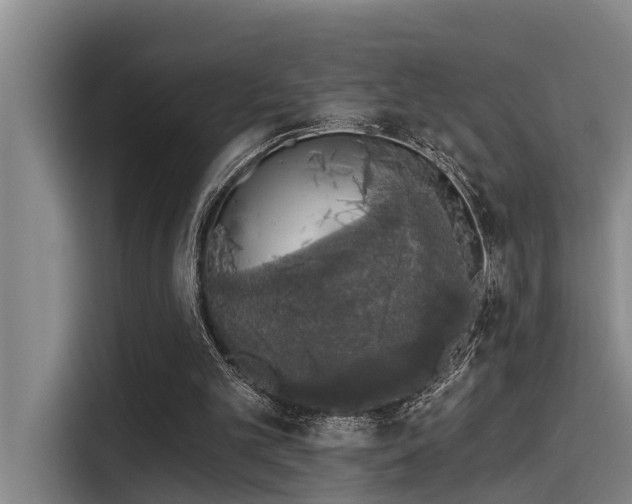 X0000115270101200911061316