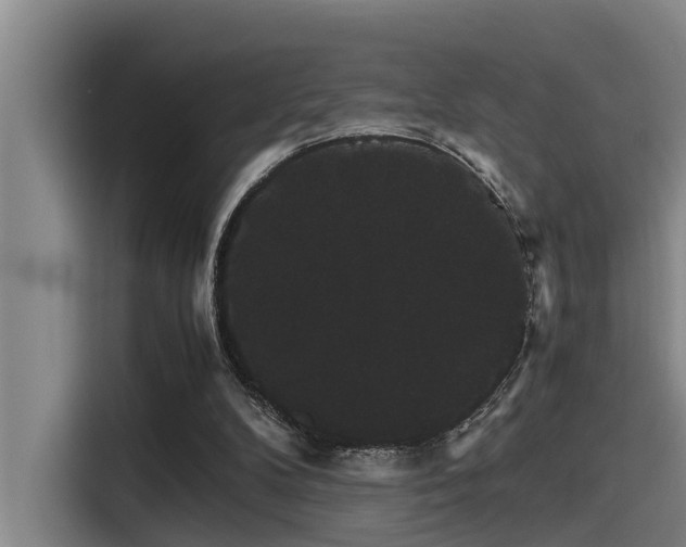 X0000115270104200911061316