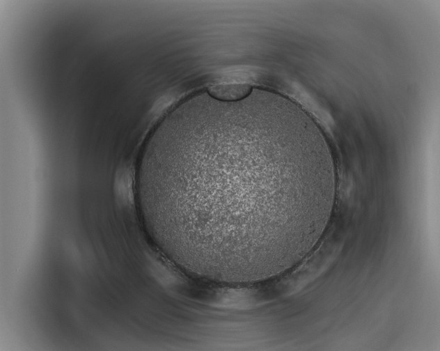 X0000115270107200911061316
