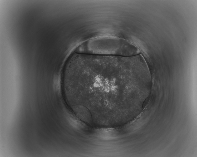 X0000115270108200911061316