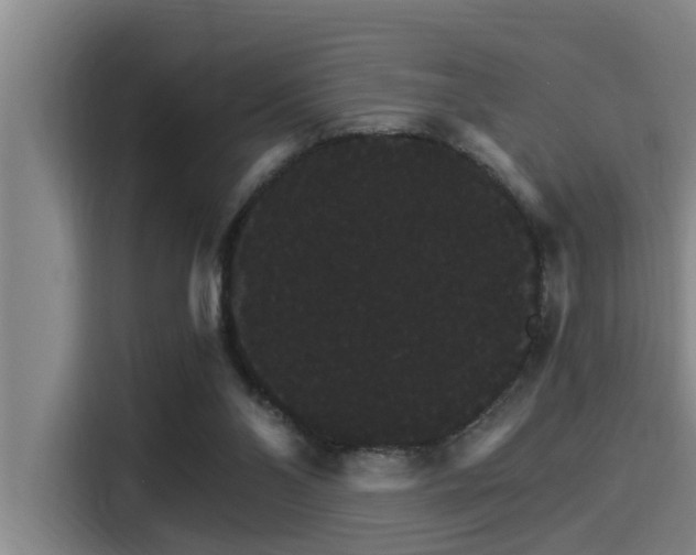 X0000115270110200911061316