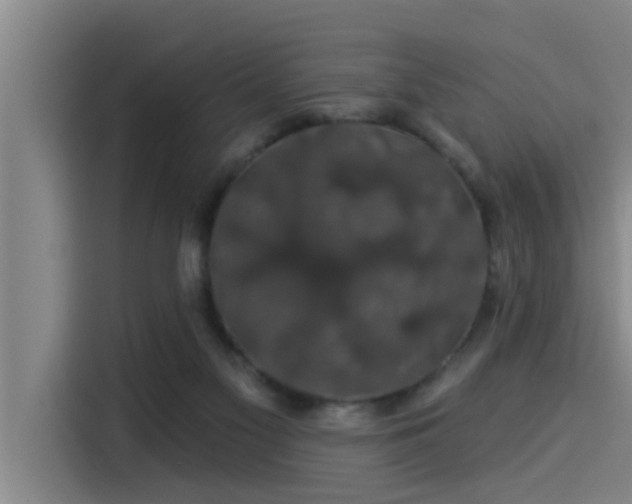 X0000115270117200911061315