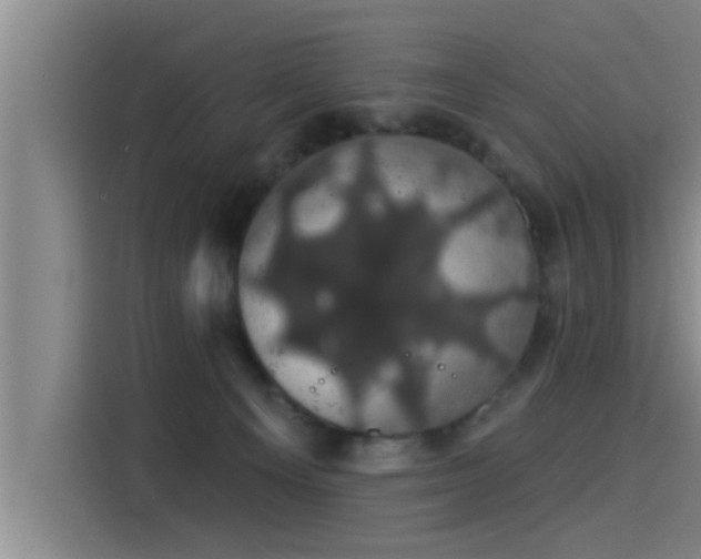 X0000115270129200911061315