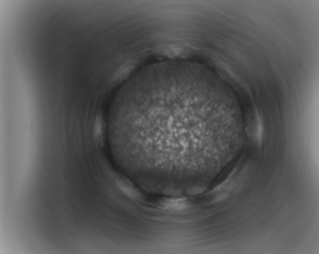 X0000115270132200911061315