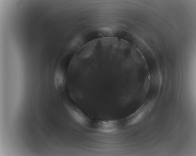 X0000115270134200911061315