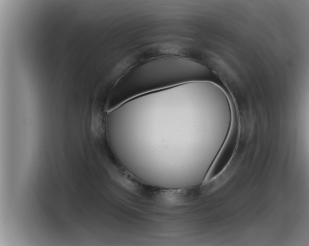 X0000115270136200911061315