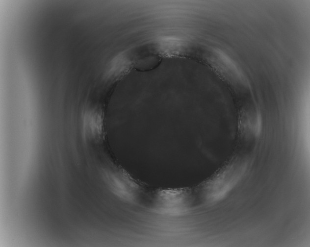 X0000115270139200911061315