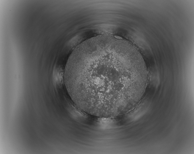 X0000115270141200911061315