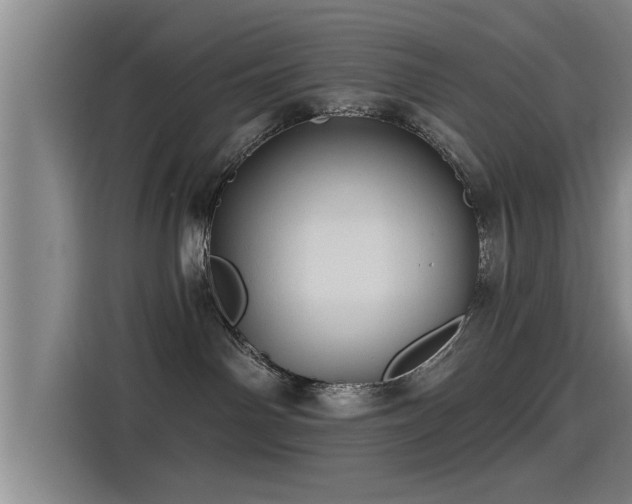 X0000115270142200911061315