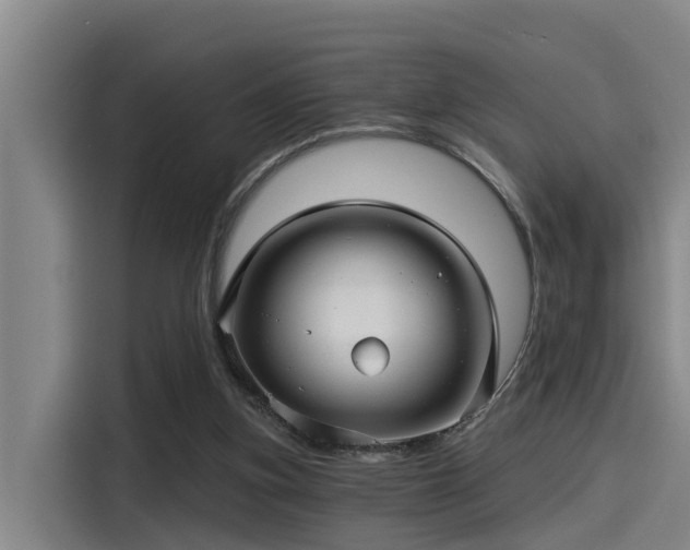 X0000115270155200911061315
