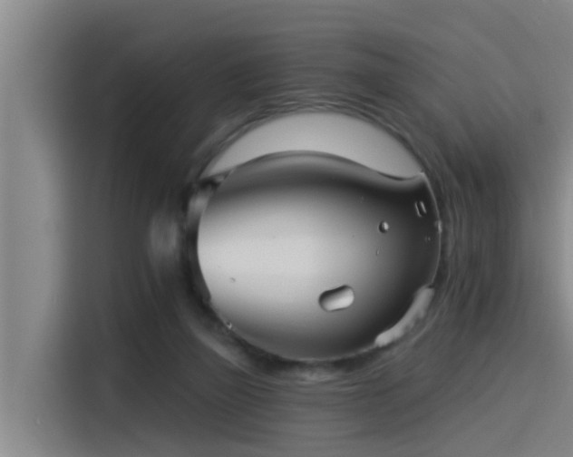 X0000115270165200911061315