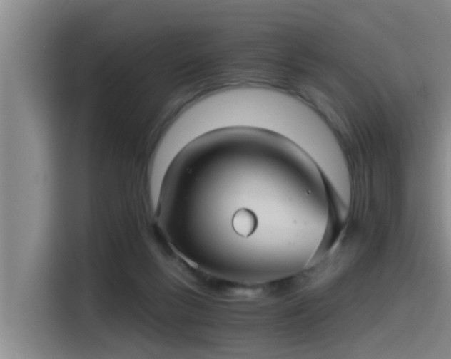 X0000115270167200911061315