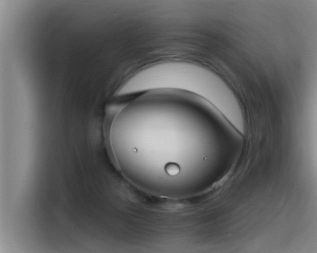 X0000115270169200911061315