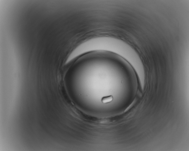 X0000115270173200911061315