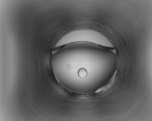 X0000115270175200911061315