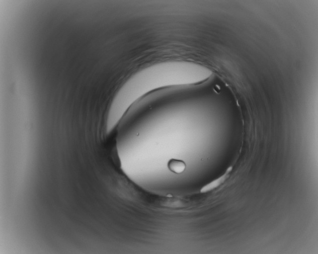 X0000115270177200911061315