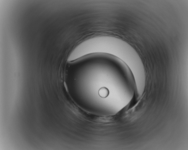 X0000115270179200911061315