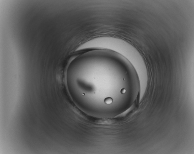 X0000115270181200911061315