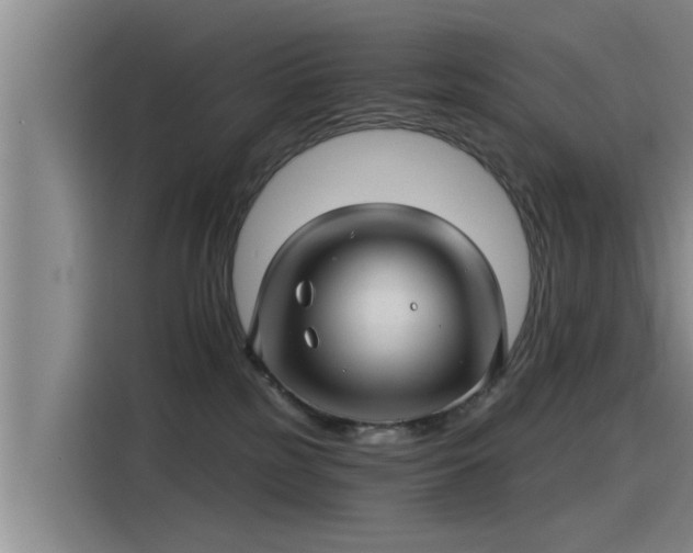 X0000115270185200911061315