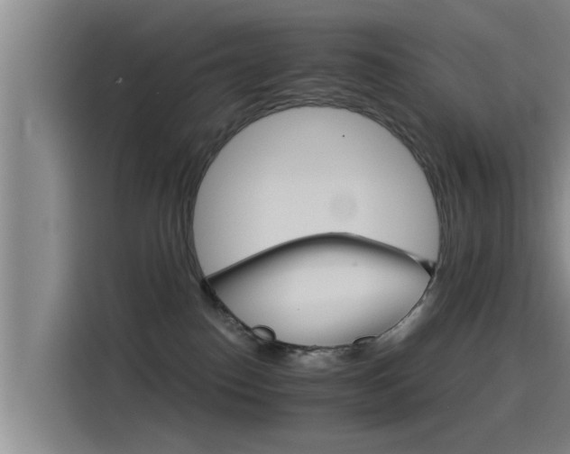 X0000115270186200911061315