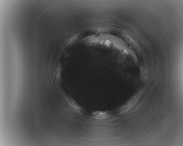 X0000115270189200911061315