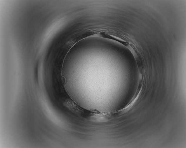 X0000115270190200911061315