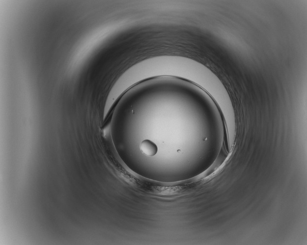 X0000115270191200911061315