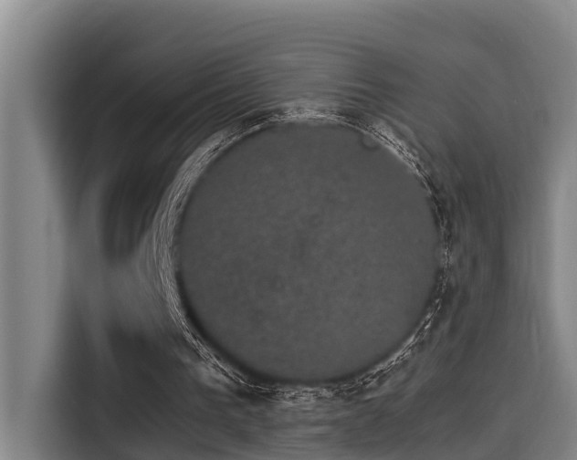 X0000115270193200911061314