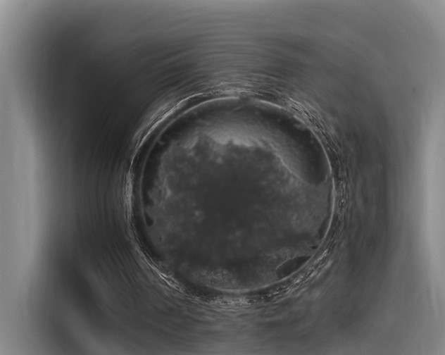 X0000115270194200911061314
